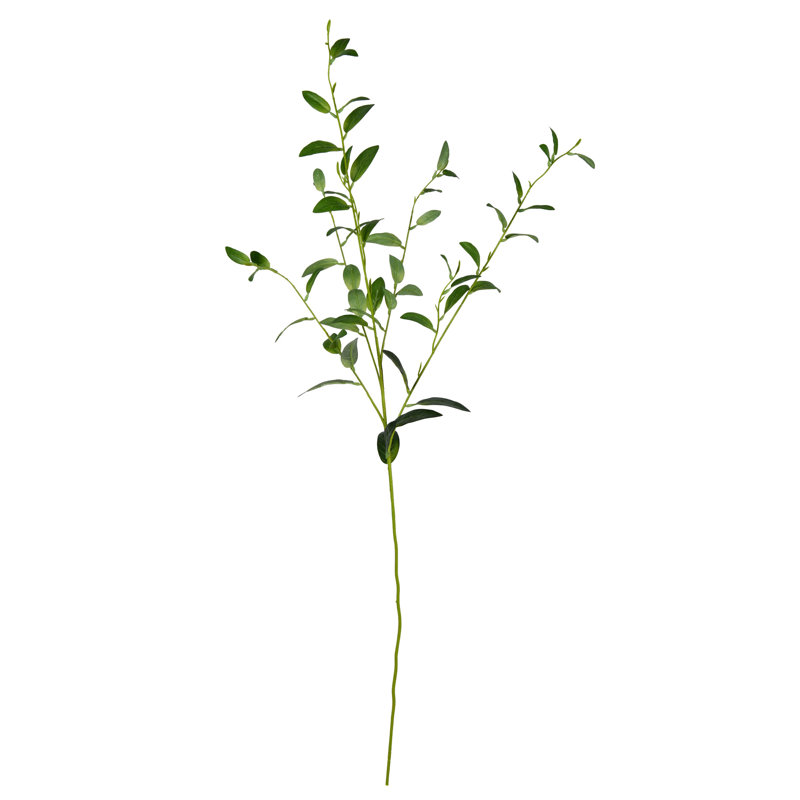 Leaf Arrangement