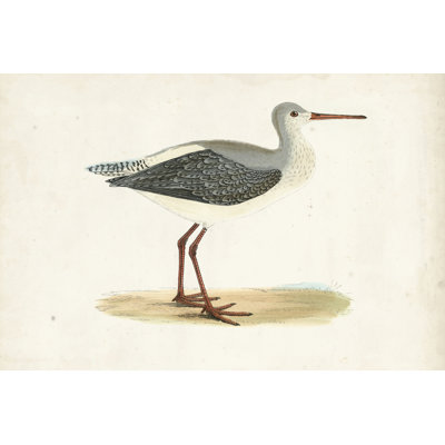 Morris Sandpipers I by Morris - Painting on Canvas