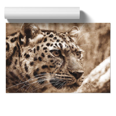 Leopard Vol.3 - No Frame Print