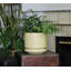 Pot de fleurs moderne Melrose en céramique émaillée (lot de 2) - Intérieur/Extérieur-1572061660