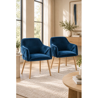 Aggarwal 48 cm H Velvet Armchair