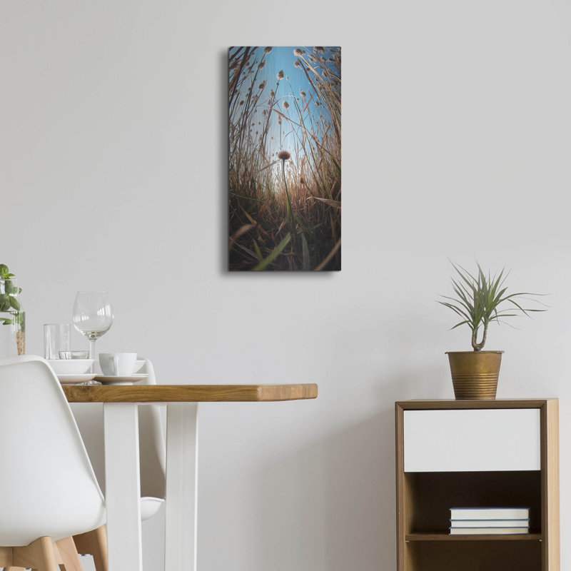 Laurel Foundry Modern Farmhouse 'Daydream' by Decent Exposures Metal Wall Art