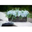 Centres de table mixtes en pot-239678552-239678559