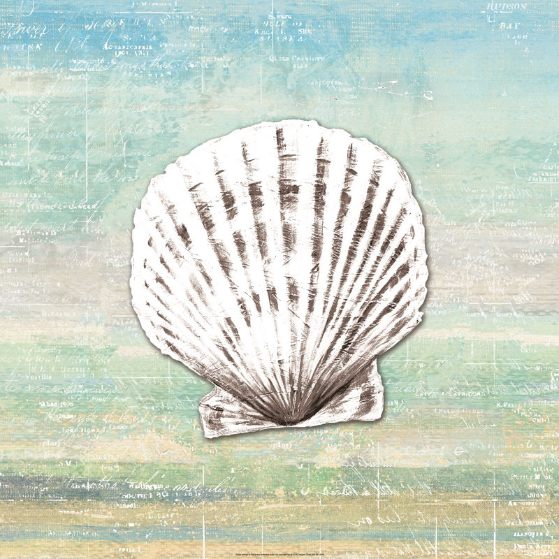 Seashell 1 - Wrapped Canvas Painting, 122cm H x 122cm W x 3.8cm D