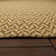 Shultis Indoor / Outdoor Rug