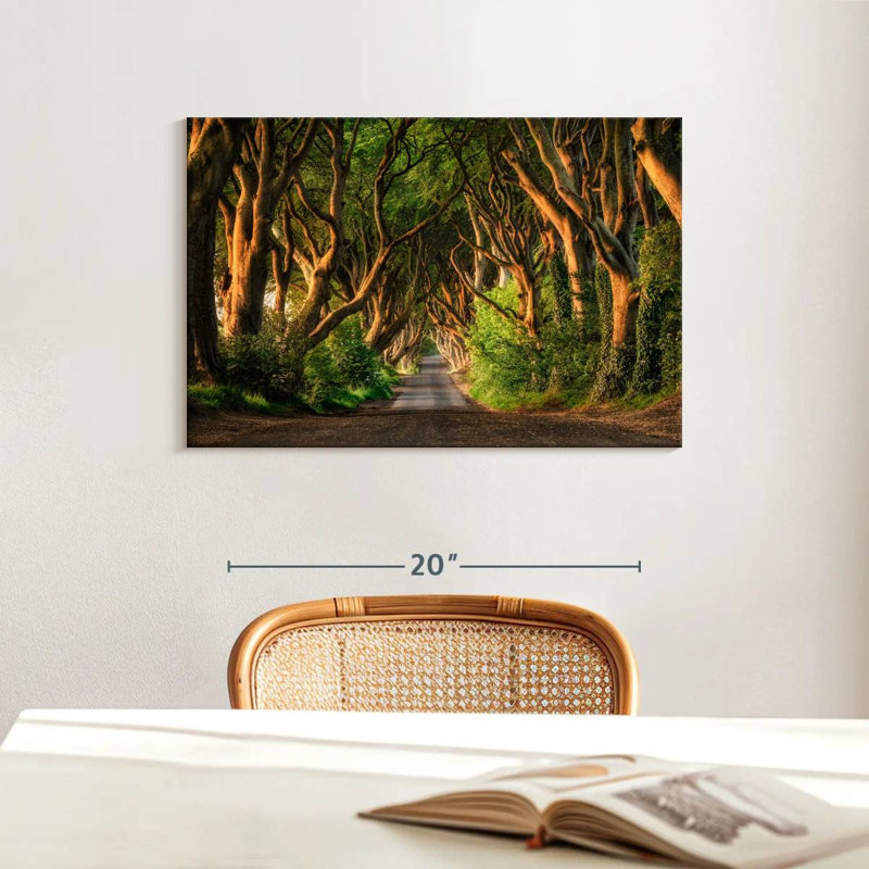 Kavia The Dark Hedges Forest Ballymoney, 16" H x 24" W