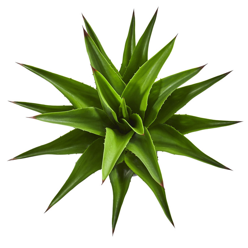  30in. Agave Artificial Plant