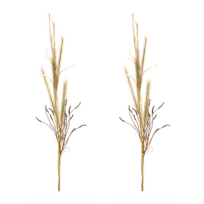 Herbe à sonnette (ensemble de 2)