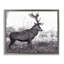 "Elk in Peaceful Forest", art mural sur toile flottante par Jasper Huish-1835761367-1835761366