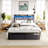 LED Upholstered Bed Frame With Charging Station-816320682