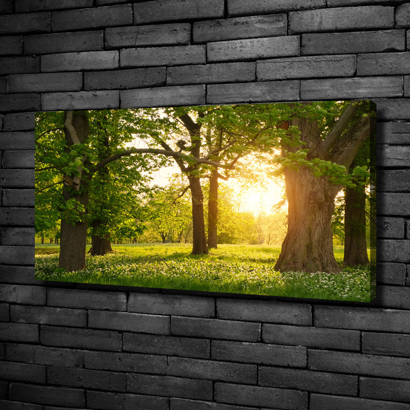 Trees In The Park - Print, Canvas, 50cm H x 100cm W x 2cm D