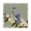 « aquarelle branch ii », peinture sur toile tendue-241646592