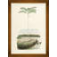African Palms Giclee Print by João Barbosa Rodrigues