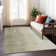 Colier Ombre Indoor / Outdoor Rug