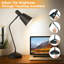Dimmable Table Lamp With Usb And Touch Control-1960382496