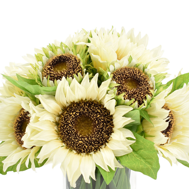 Sunflowers In Glass Vase With Grass, White