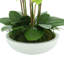 Orchids Arranged in Fiberstone Planter-1808265653
