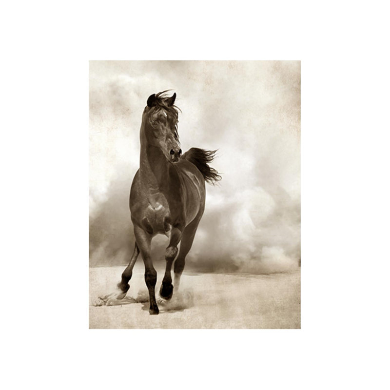 In Desert Storm Print by Sofia Fox, 60" H x 48" W x 1.5" D, Glass Coat
