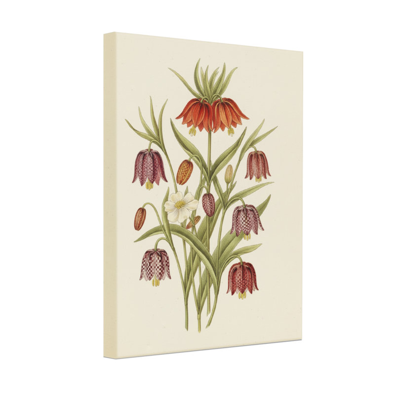 Plantes et fleurs, art floral botanique de Fritillaria, H 36 po x l 24 po