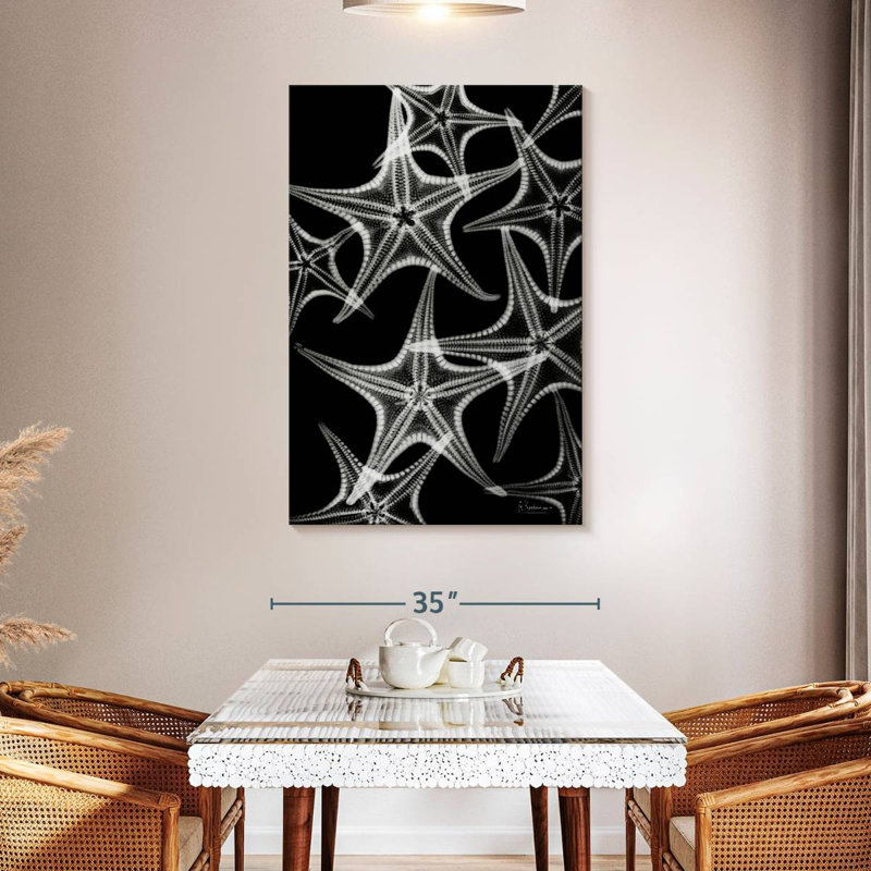 Brampt White Starfish, 48" H x 32" W