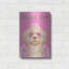 «Doggie Diva» par Debbie Gray-360230888
