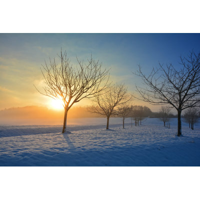 «Sunrise in Winter with Tree» par Fotoevans - photographie sur toile tendue