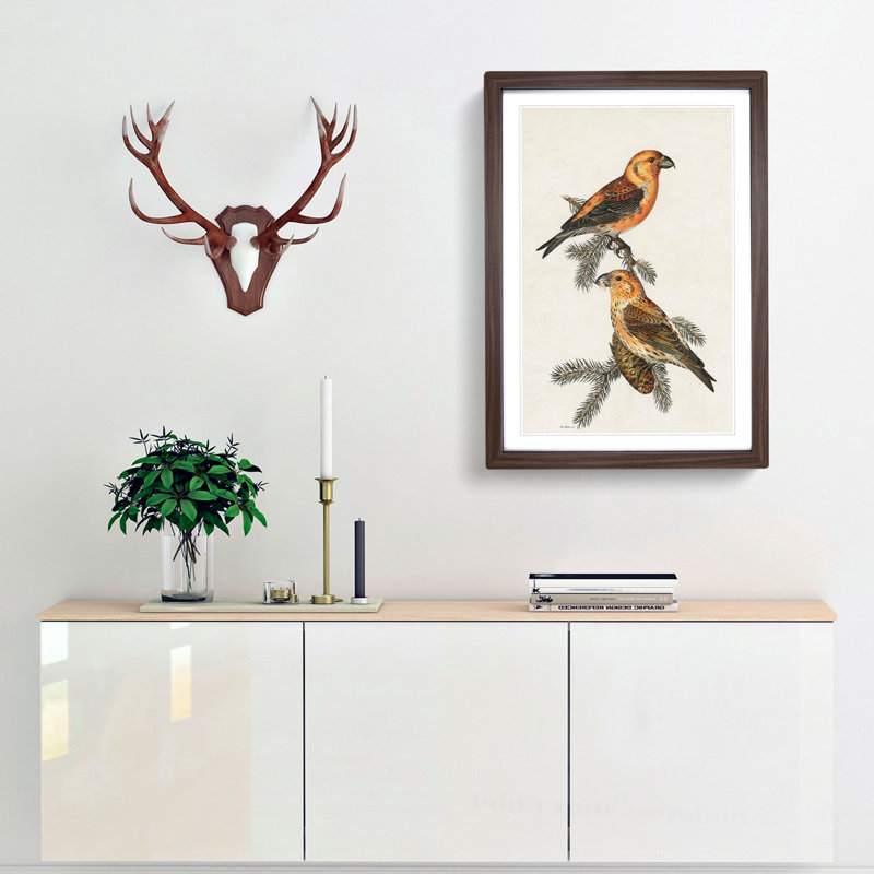 Red Crossbill Birds by Von Wright - Picture Frame Painting Print, 48cm H x 36cm W x 2cm D, Walnut Framed