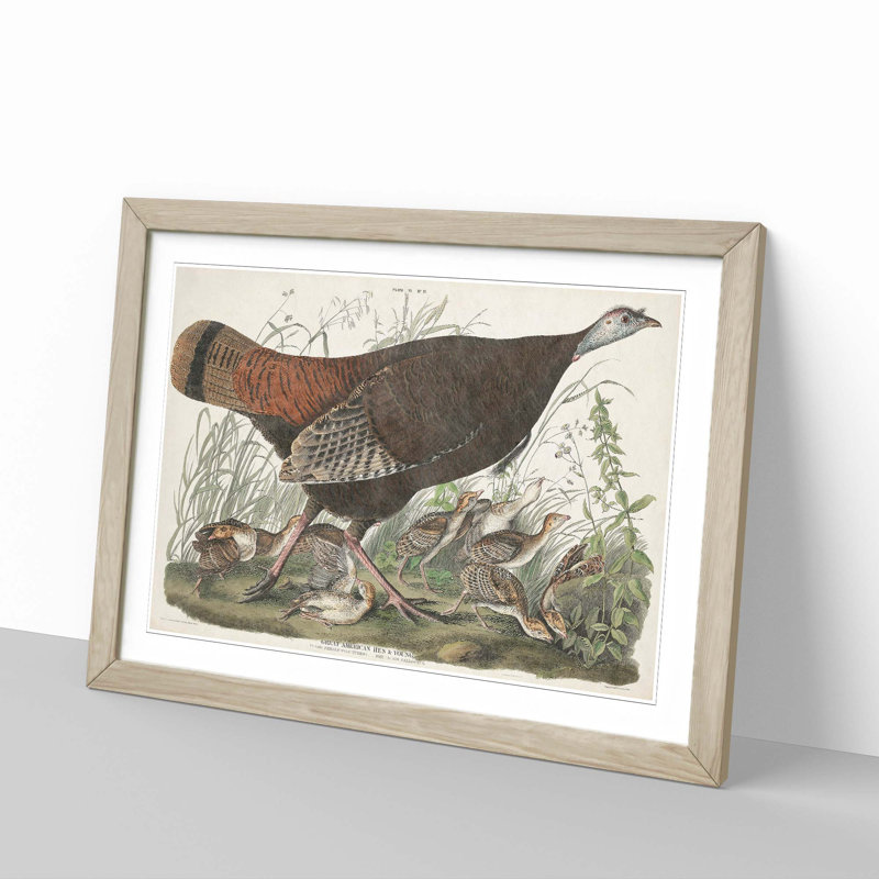 Great American Hen by John Audubon - Picture Frame Painting Print, Oak Framed, 48cm H x 65cm W x 2cm D