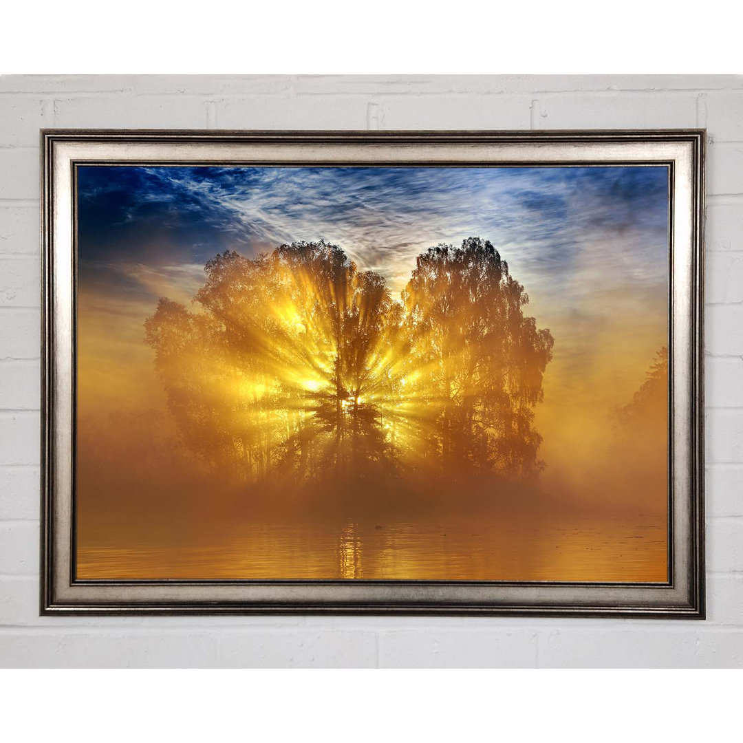 Golden Sunburst Tree - Druck