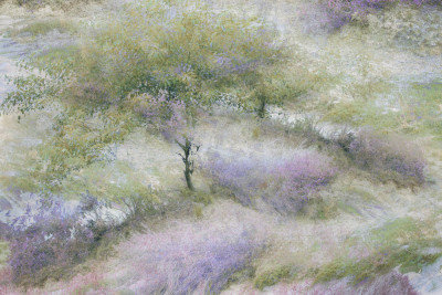 Wrapped Canvas Print, 60.96cm H x 91.44cm W