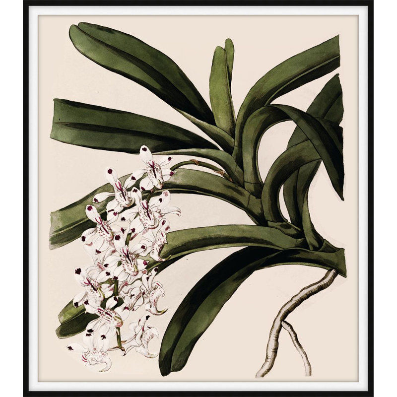 Frond Fountains 2 Print by Art House Studios, 20" H x 18" W x 1" D