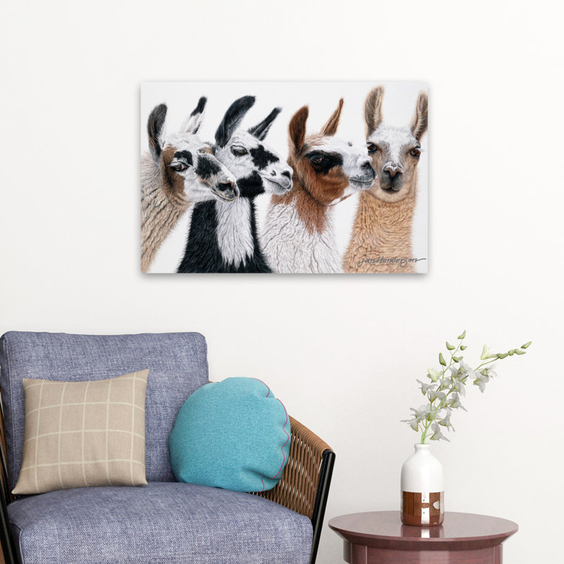 Péruvien visiteurs - photographie, art animalier, H 24 po x l 16 po