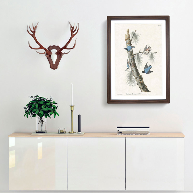 Nuthatch Birds by John Audubon - Framed Print, 65cm H x 48cm W x 2cm D, Walnut Framed