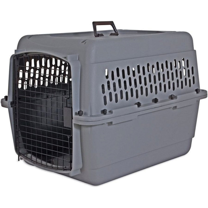 Transporteur traditionnel pour animaux Jaquez, H 20,5 po x l 20 po x P 28 po