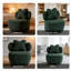 Upholstered Swivel Accent Chair-1468088504