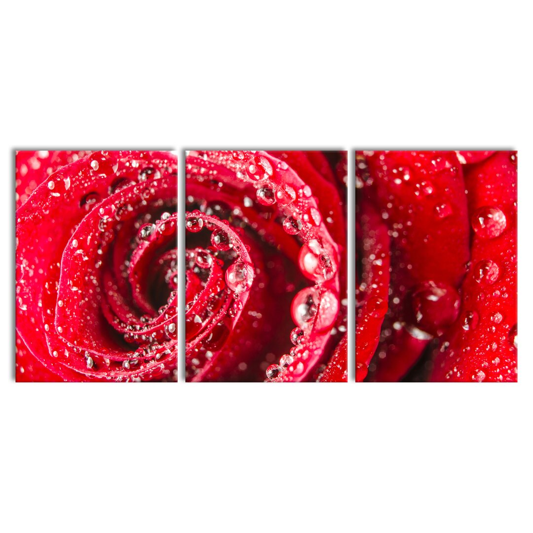 3-tlg. Leinwandbilder-Set Rose with Water Droplets