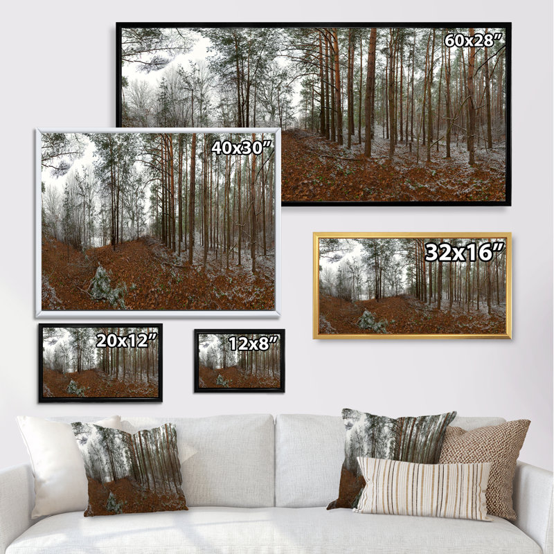 «First Snow in Autumn Forest Scenery III» - photographie sur toile, H 8 po x l 12 po x P 1 po, Cadre noir