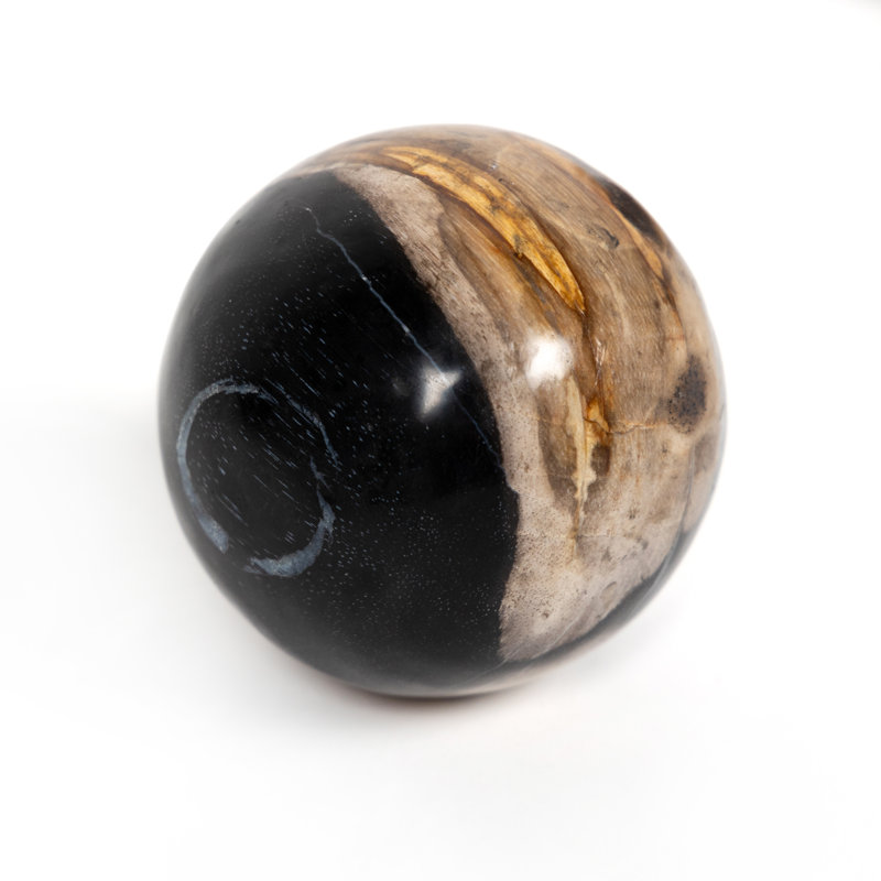 Petrified 3 Piece Deco Wood Sculpture Set