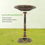 Salome Plastic / Acrylic Fountain Birdbath-109577160