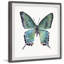 Impression sur papier Aldwell «Watercolor Butterfly» sur papier-1592967868