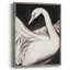 ANIMALS Series CECXLI, reproduction encadrée - bois massif-1620824567