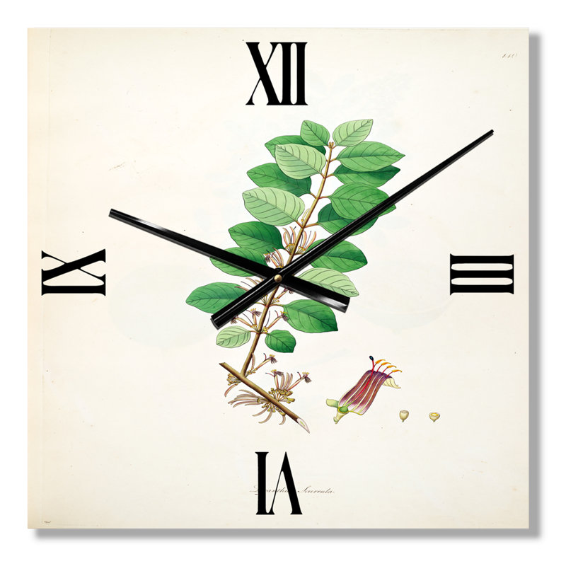 Horloge murale Plant Life, Très grand