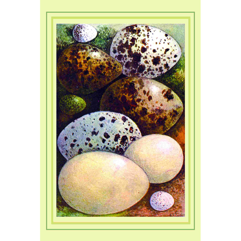 Collection Egg - impression sur toile tendue, H 48 po x l 32 po