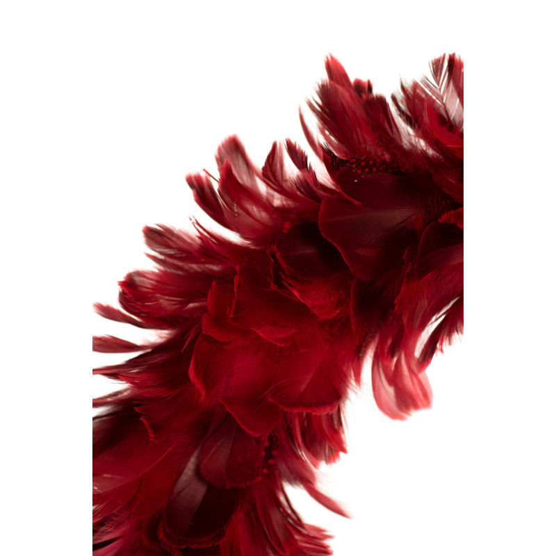 Couronne de plumes 22 po, Rouge