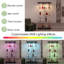 80.5 cm W Display Cabinet with Lighting-99293230