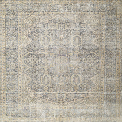 Sydni Oriental Indoor Rug