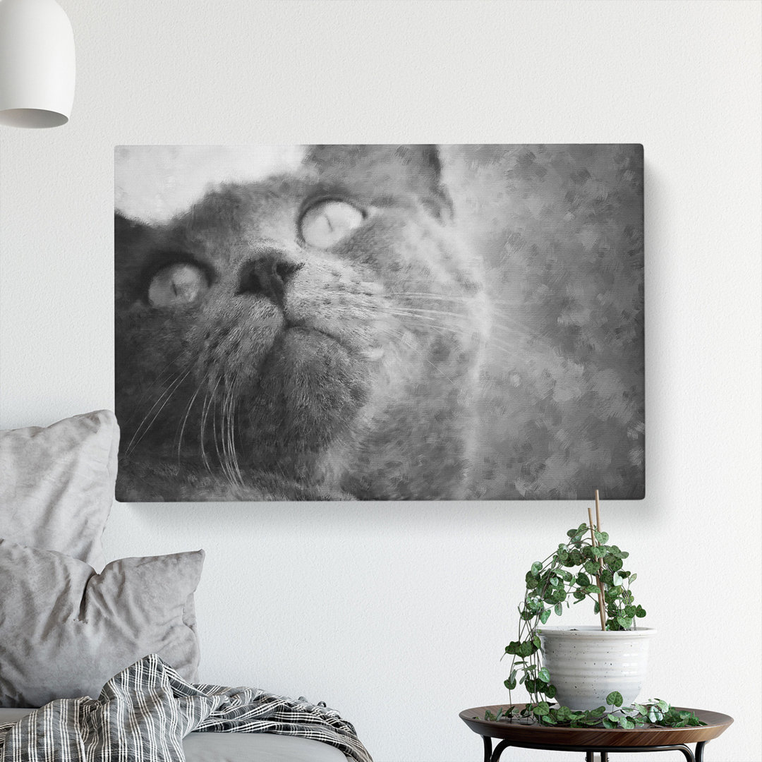 British Shorthair Cat Vol.3 - Wrapped Canvas Print