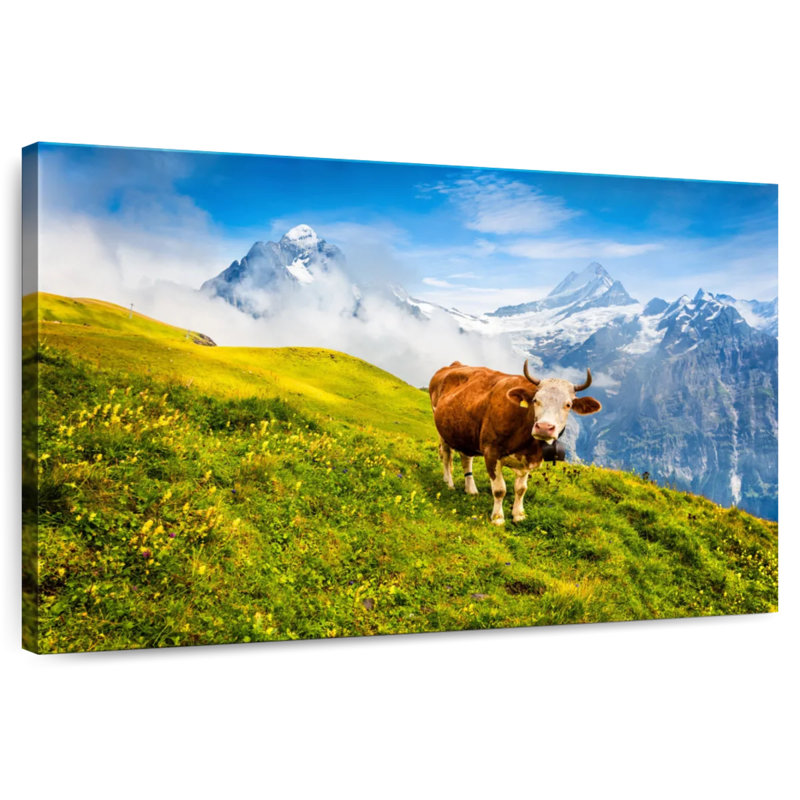 Brampt Bernese Alps Cow