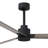 Alessandra 72'' Ceiling Fan-615459997-670286134