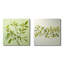 «Green Ferm Simple Collage» - ensemble de 2 feuilles carrées-524083678-524083652